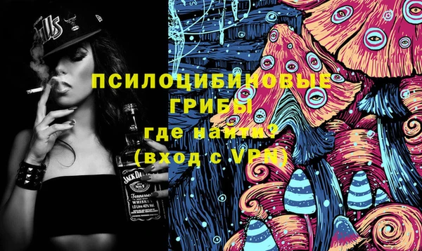 гидропоника Алзамай